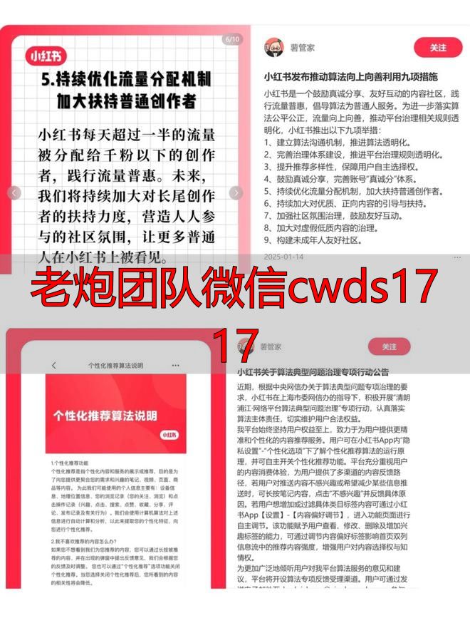 小红书平台虚假信息治理_小红书恶意内容屏蔽_俞浩炮轰小红书算法乱象