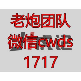 轻创军虎记