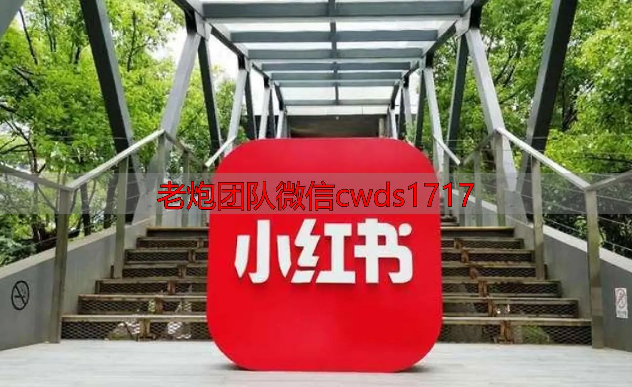 小红书维权删帖流程_小红书舆情危机合规回应沟通原则_小红书舆情危机48小时黄金处置流程