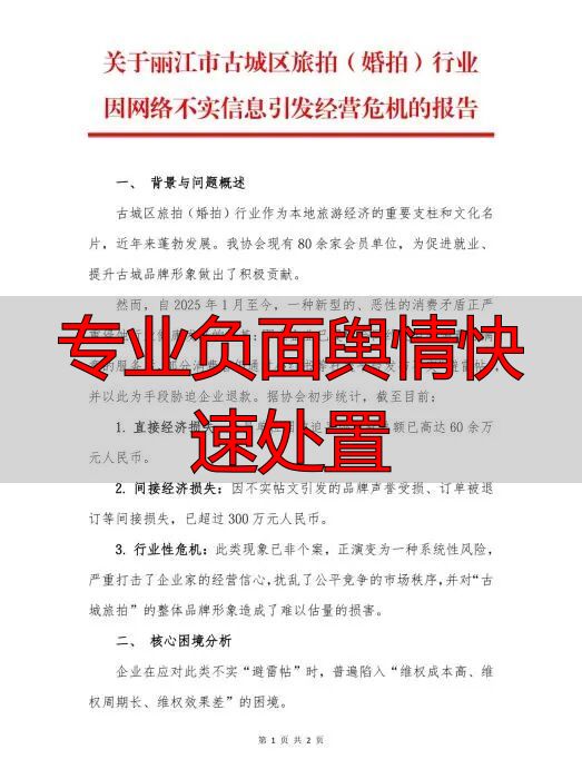 专业负面舆情快速处置